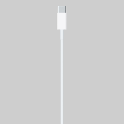 100% Original 60w C-Lighting Cable