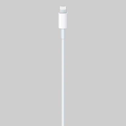 100% Original 60w C-Lighting Cable